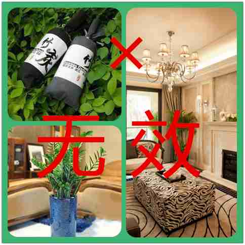 常见的上海除甲醛方法，哪些是有效果的