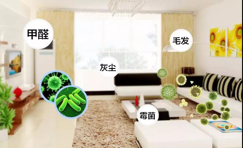 家庭装修时上海除甲醛怎么做